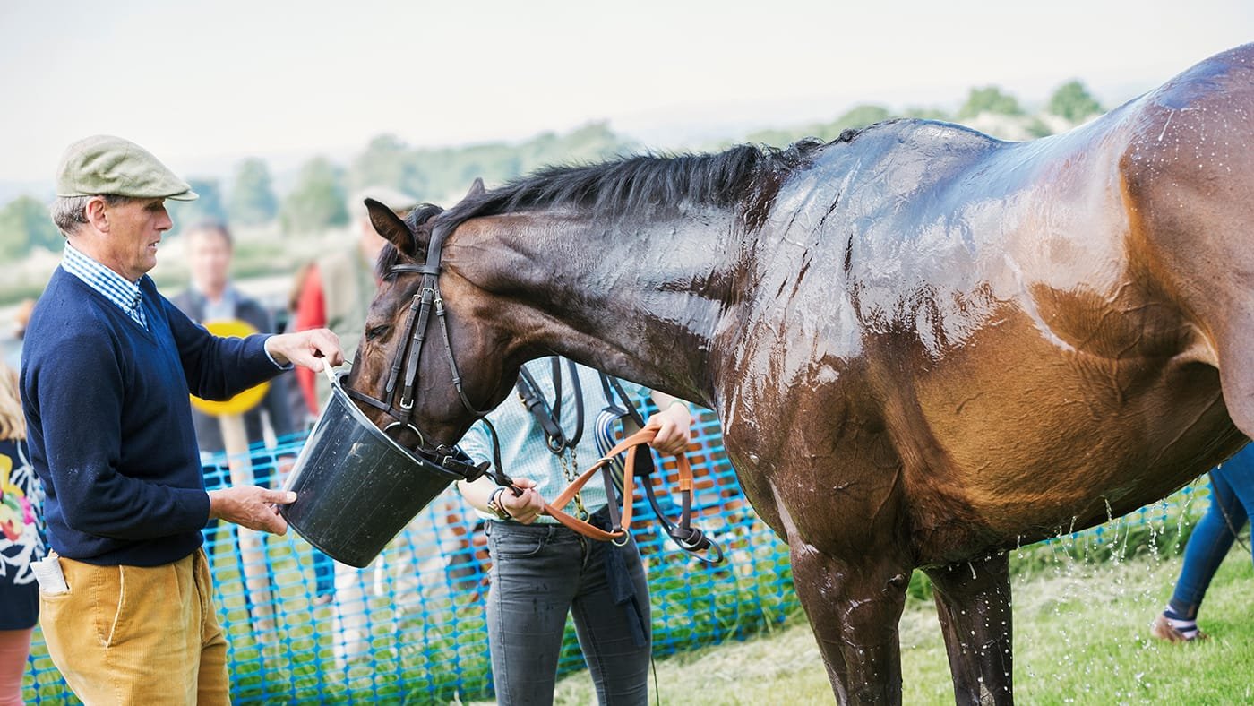 Horse Hydration and Electrolyte Balance:Proper hydration and electrolyte balance are crucial for maintaining the health and performance of horses.