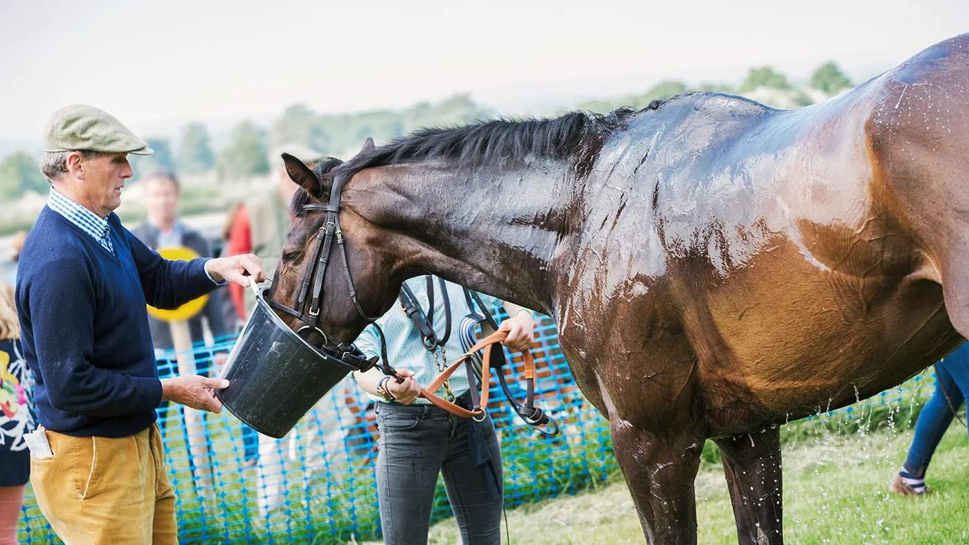 Horse Hydration and Electrolyte Balance:Proper hydration and electrolyte balance are crucial for maintaining the health and performance of horses.