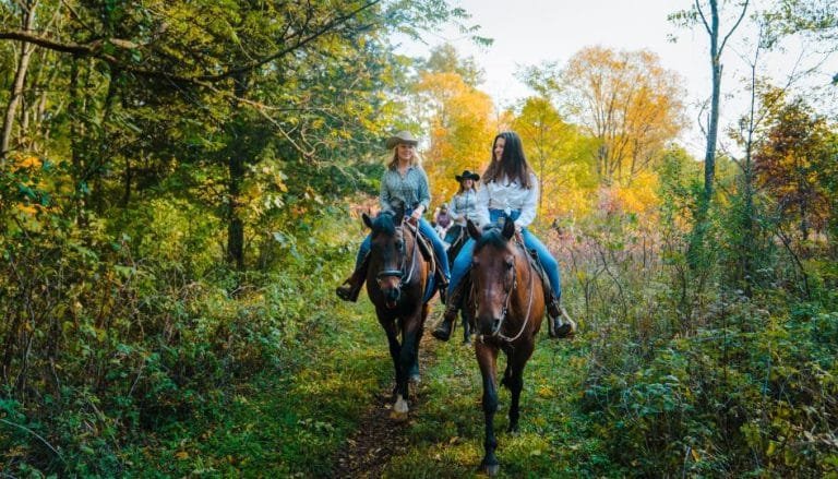 "Choosing the Right Age to Start Riding Your Horse: A Comprehensive Guide