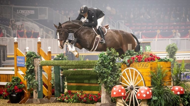 Discover the Magic of the 'Royal Winter Fair Horse Show 2024': A Winter Equestrian Delight