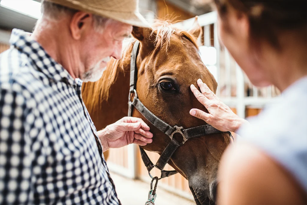 Aging and Senior Horse Care: Essential Tips for a Happy, Healthy Horse