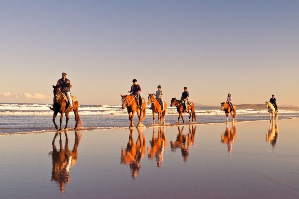 Magic of Beach Horse Riding: A Beginner’s Guide to Enjoying the Sand and Surf on Horseback