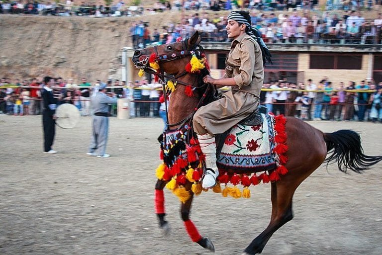 Kurdish horse ; more than just an animal it is a symbol of the Kurdish people's enduring spirit and rich cultural heritage.