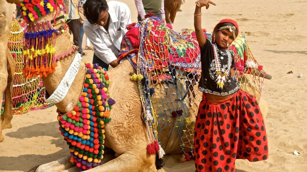 Pushkar Fair 2024 ; Rajasthan starts on Saturday, 08 November 2024, and ends on Friday, 15 November 2024
