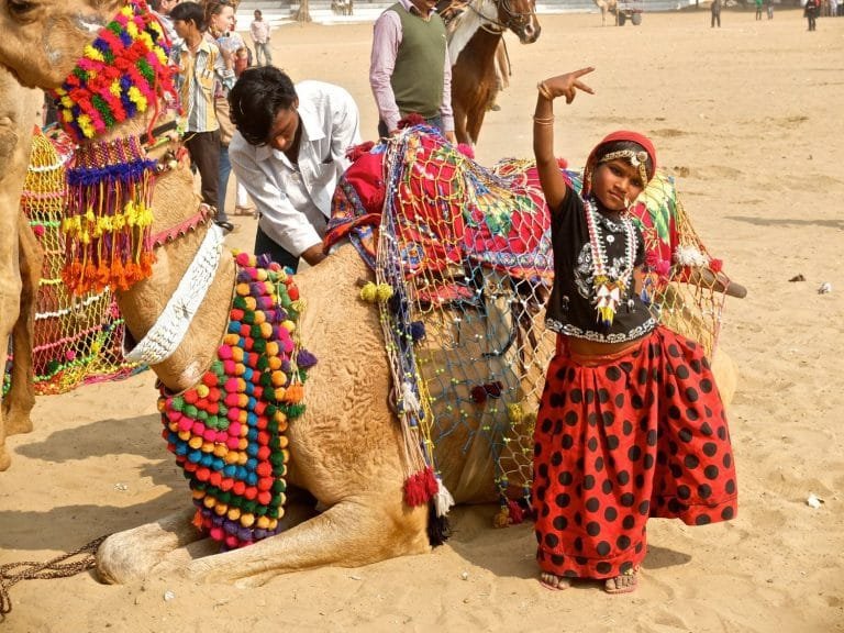 Pushkar Fair 2024 ; Rajasthan starts on Saturday, 08 November 2024, and ends on Friday, 15 November 2024