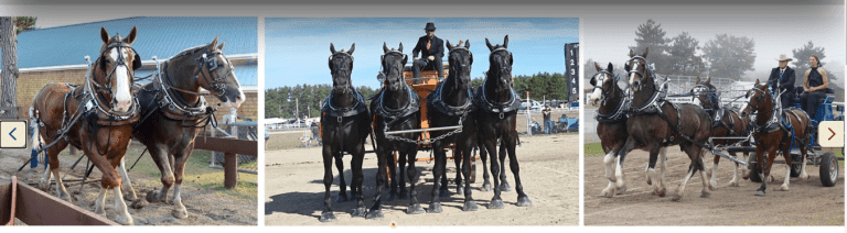 Fryeburg Fair 2024;A Journey Through Agriculture and Community"