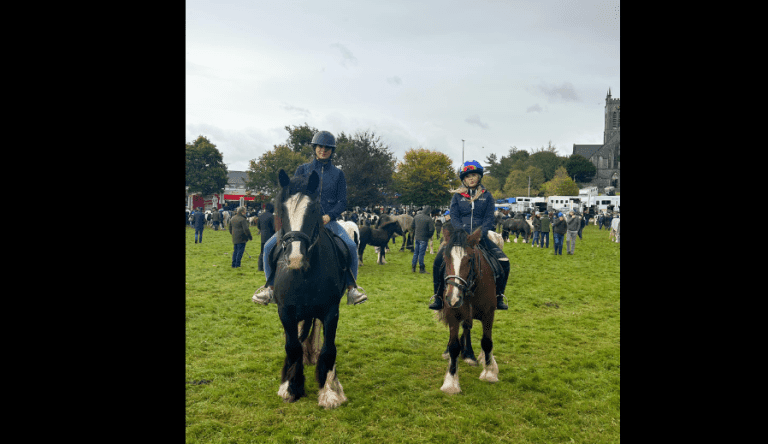 Experience the Charm of Ballinasloe Fair & Festival 2024 Sunday, October 6th