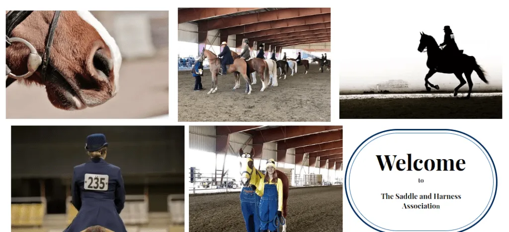 Saddle and Harness Horse Show 2024 : fantastic event that showcases various breeds and disciplines of horses,