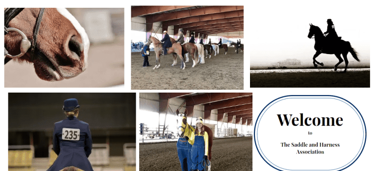Saddle and Harness Horse Show 2024 : fantastic event that showcases various breeds and disciplines of horses,