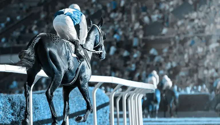 Top 5 Horse Festivals You Must Attend