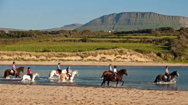 Fascinating 8 Facts About Horses in IrelandHorses in Ireland are more than just animals; they are an integral part of the country's culture, economy, and history;