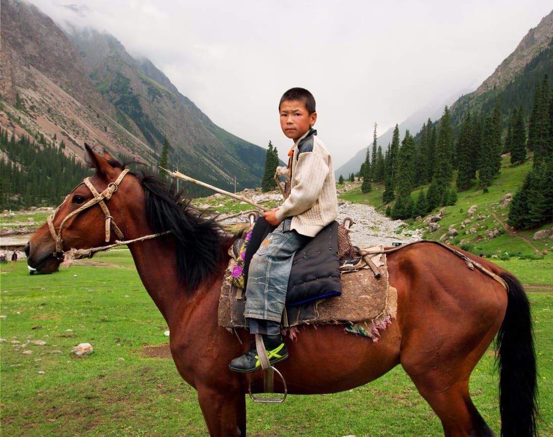 Kyrgyz horse