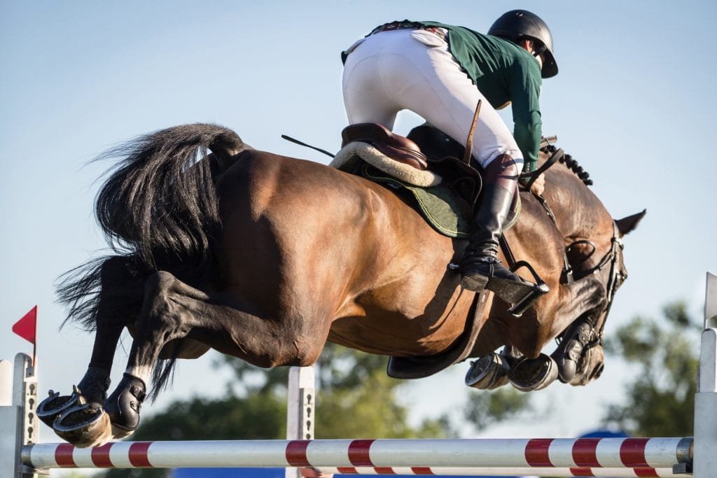 Mullingar Horse Show 2024 is a popular event in Ireland, showcasing equestrian talent and featuring various competitions