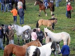 Ballinasloe Horse Fair September 29TH – October  6TH 2024