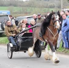 Experience the Charm of Tradition: Bournemouth Horse Fair 2024