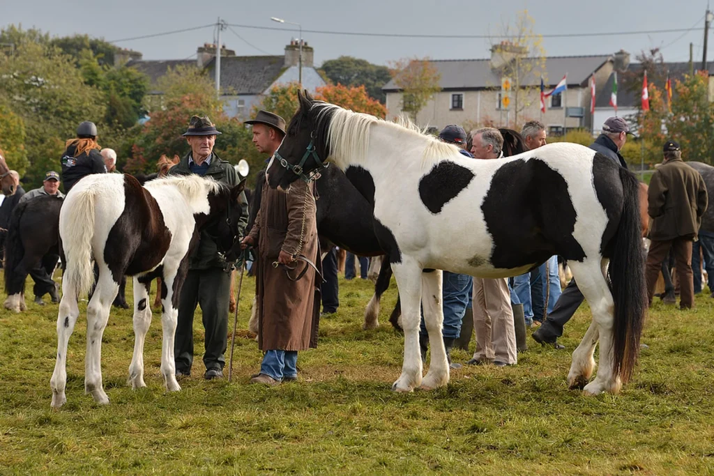Ballinasloe horse fair 2024 schedule
