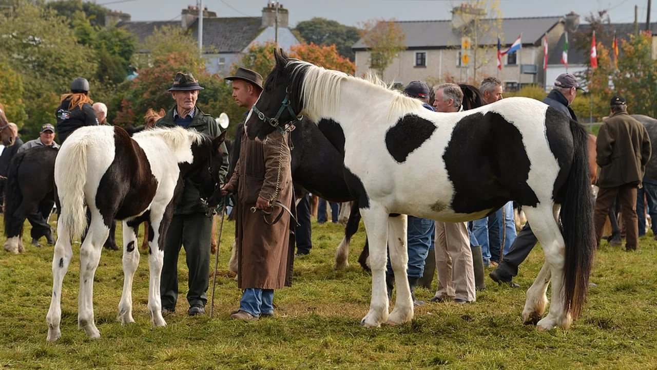 Ballinasloe horse fair 2024 schedule