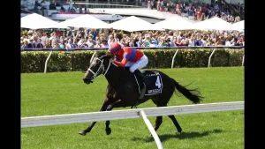 Top Five Australian Horse Film Genres