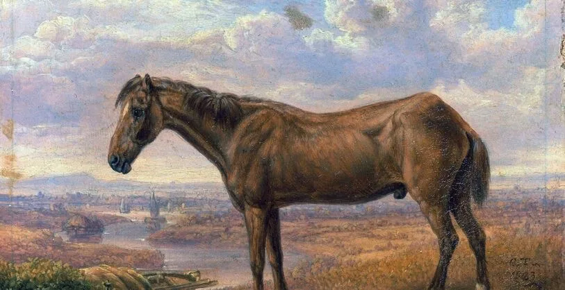The Oldest Horse: A Journey Through Time Horses have been our companions for thousands of years, serving as work animals, transportation