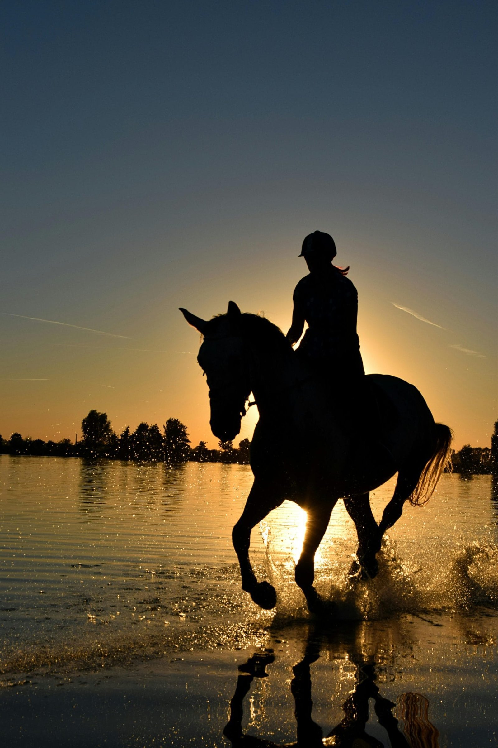 Magic of Beach Horse Riding: A Beginner’s Guide to Enjoying the Sand and Surf on Horseback