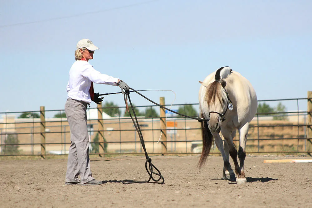 How to Keep Horse’s Focus When Training