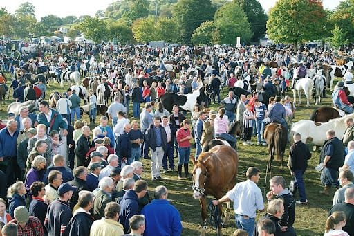 Ballinasloe Horse Fair September 29TH – October 6TH 2024