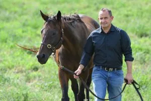 Top Five Australian Horse Film Genres