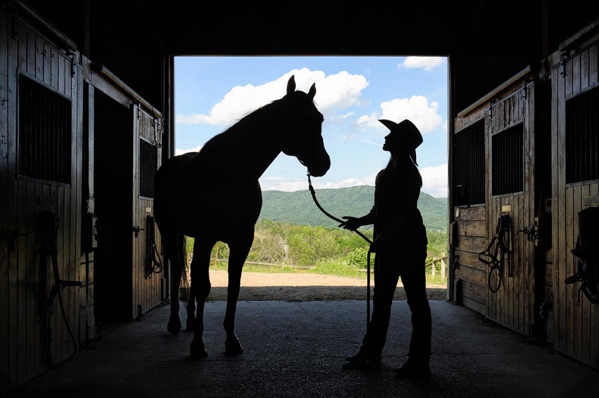 Health Conditions to Consider When Trying a Horse