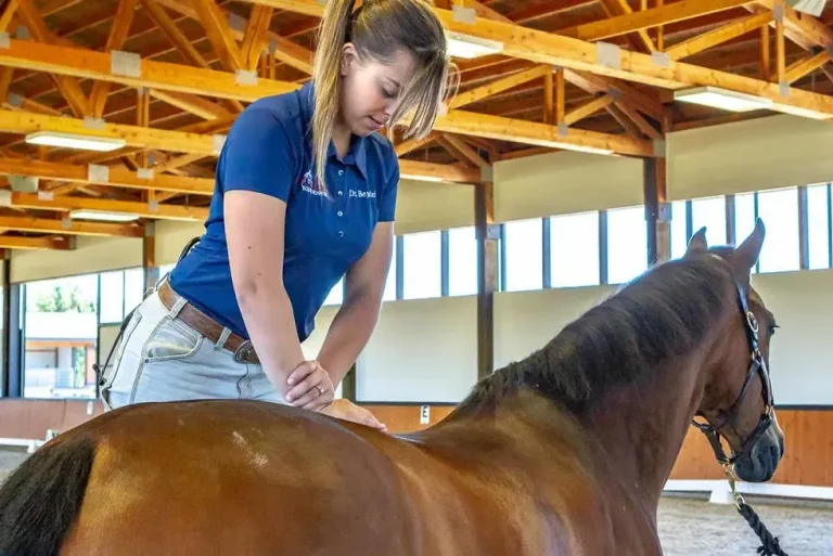 The Benefits of Chiropractic Care for Horses