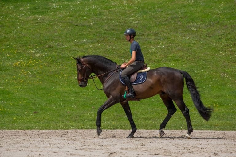 The Importance of Stretching for Horse Riders