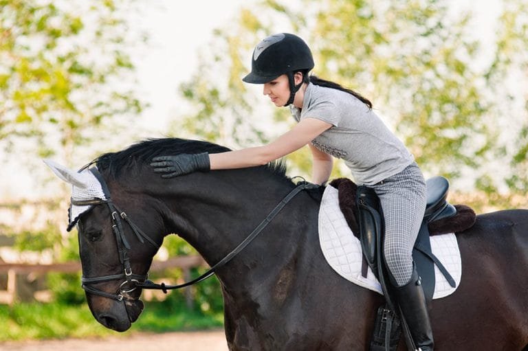 Can You Imagine a Day in the Life of a Professional Horse Rider?