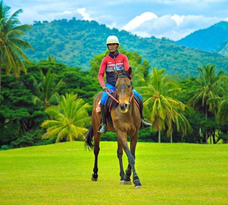 Do's and Don'ts We Should Know While Riding a Horse
