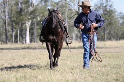 "What Are the Essential Principles Every Natural Horseman Should Know?