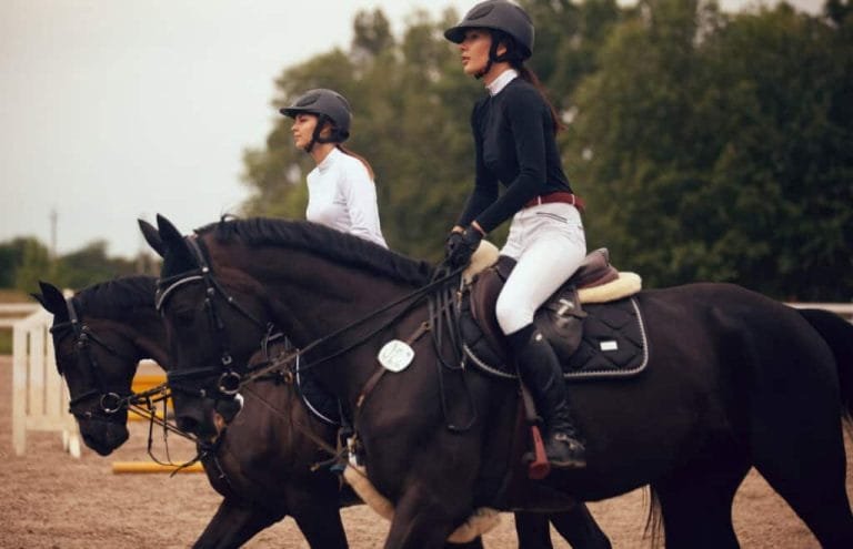 Horse Riding Apparel: Function vs. Fashion
