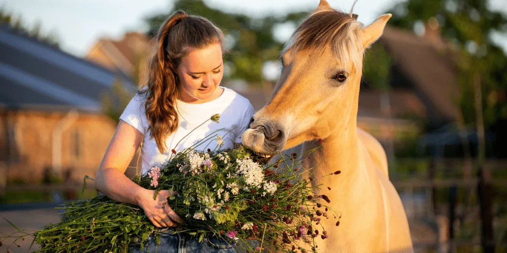 Horse-friendly garden can be a rewarding project that benefits both your equine friends and your outdoor space