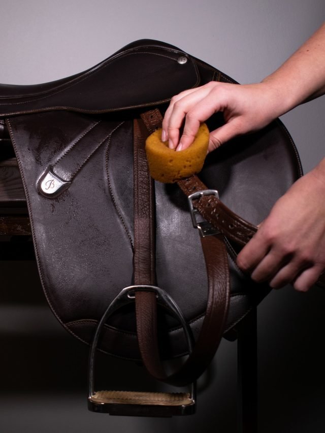 The Ultimate Guide to Cleaning and Maintaining Leather Horse Tack