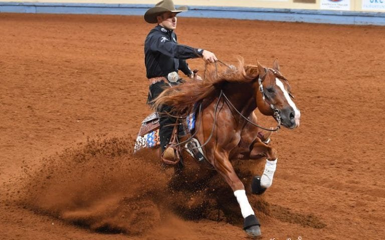 American Quarter Horse Association World Championship Show; AQHA 2024