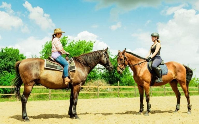 Western vs. English Horse Riding: Key Differences Every Rider Should Know