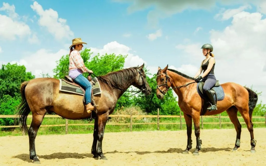 Western vs. English Horse Riding: Key Differences Every Rider Should Know
