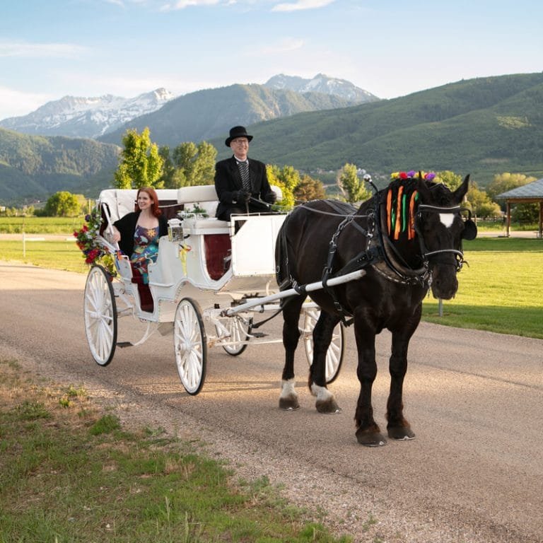Exploring the Benefits of Horse-Drawn Carriages