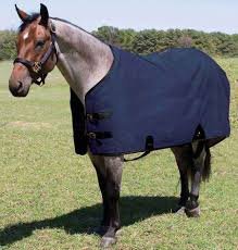 stable blankets for horses