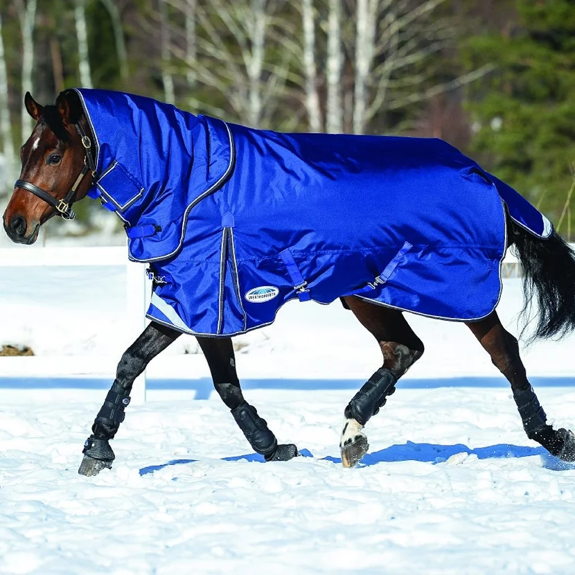 Understanding the Different Types of Horse Blankets