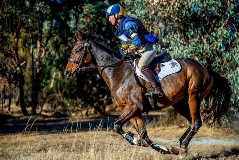 The Importance of Horse Rider Fitness and Conditioning