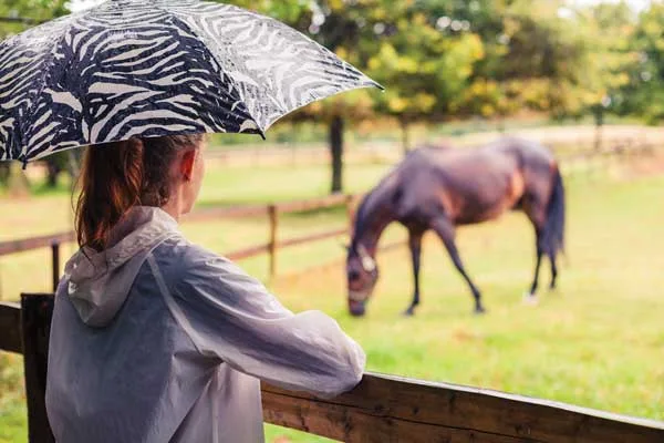 Tips for Horse Riding in Different Weather Conditions