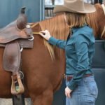 When shopping for a Western saddle,What Size Saddle Do I Need?