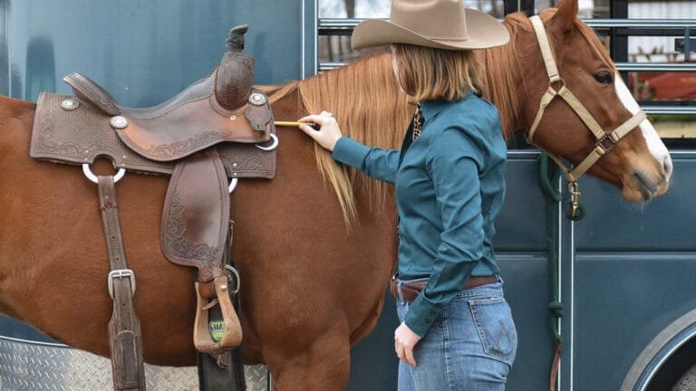 When shopping for a Western saddle,What Size Saddle Do I Need?