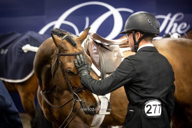 The Royal Horse Show 1-10 November 2024 ;Exhibition Place Toronto