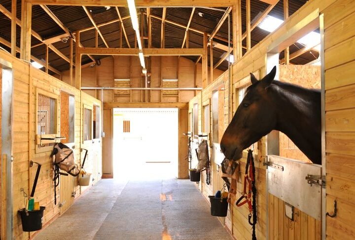 Horse Barn Organization Hacks: Maximizing Space and Efficiency