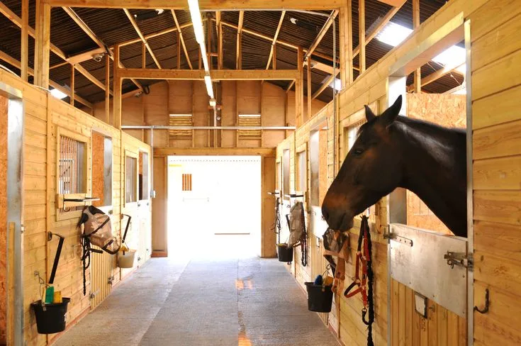 Horse Barn Organization Hacks: Maximizing Space and Efficiency