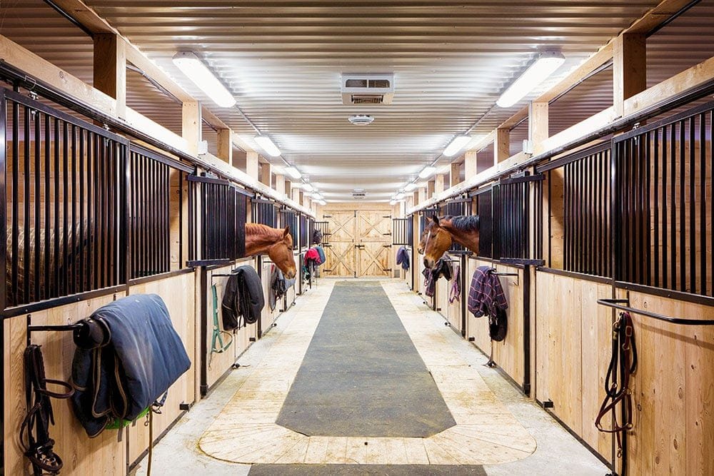 How to Manage Your Horse Barn Doors in Winter: Open or Closed?